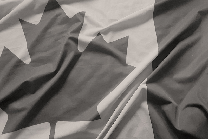 Navigating Canadian Immigration for Employers: From Temporary Work to Permanent Residency