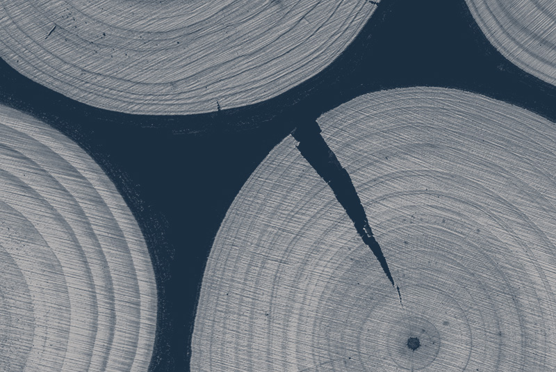 Navigating the Investment Canada Act: Key Insights to Protect Your Business