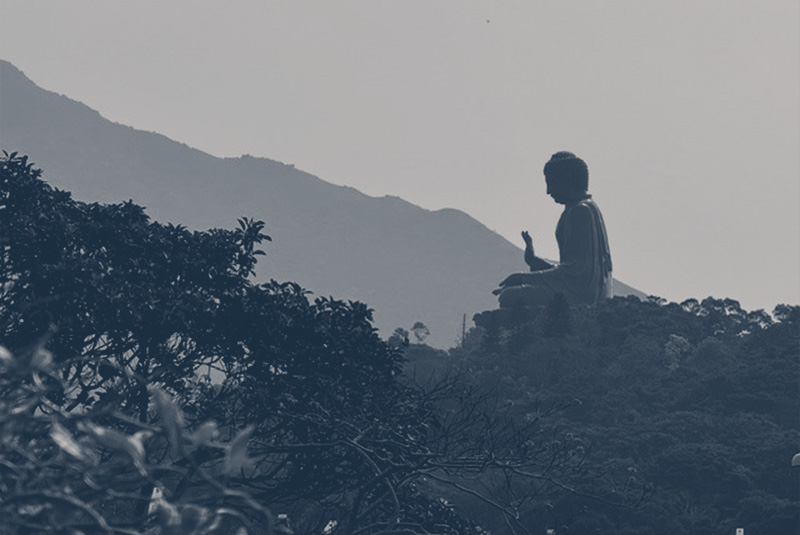 Meritas® – 2025 Board of Directors Meeting and Firm Management Forum