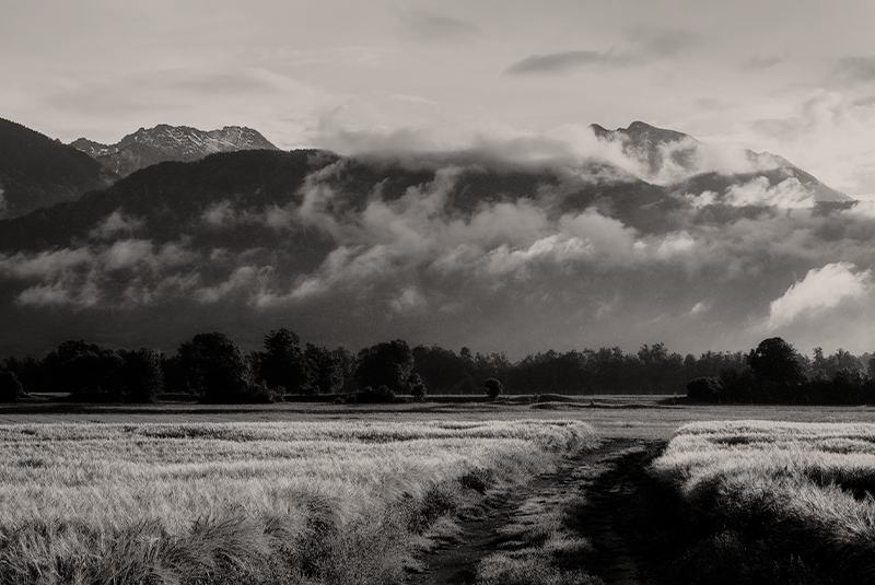 38 First Nations Receive $400M Federal Indigenous Loan Guarantee for $736M Equity Investment in Enbridge’s Westcoast Pipeline