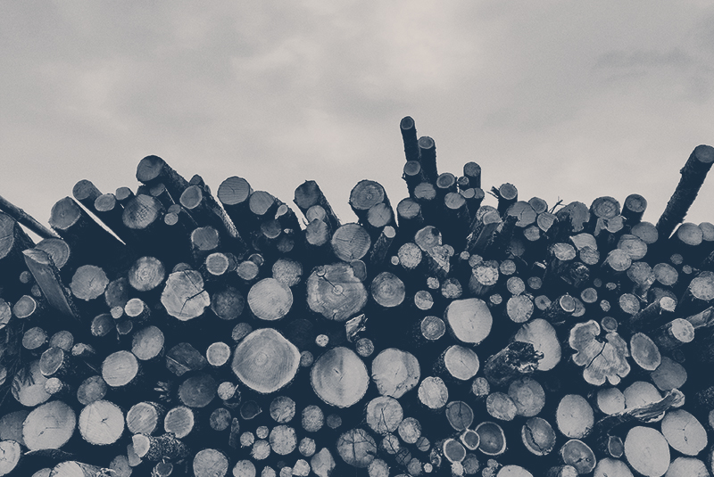 BC Supreme Court Update on Reconciliation and Forest Tenure Rights in BC