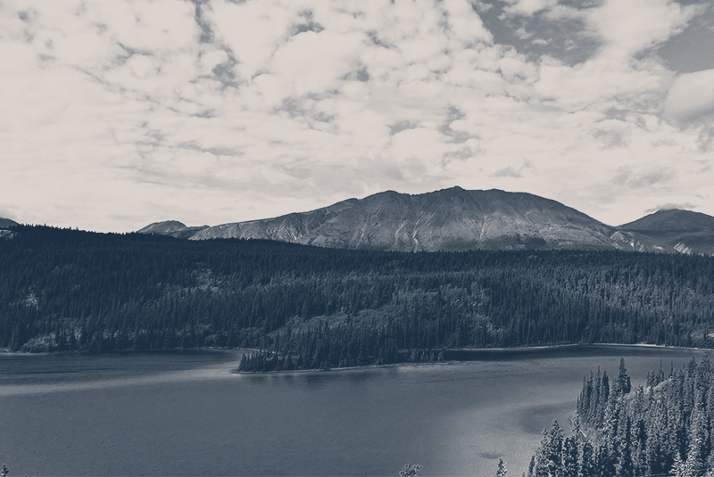 Allegations of Fraud and Misrepresentation Under the Yukon Business Nominee Program