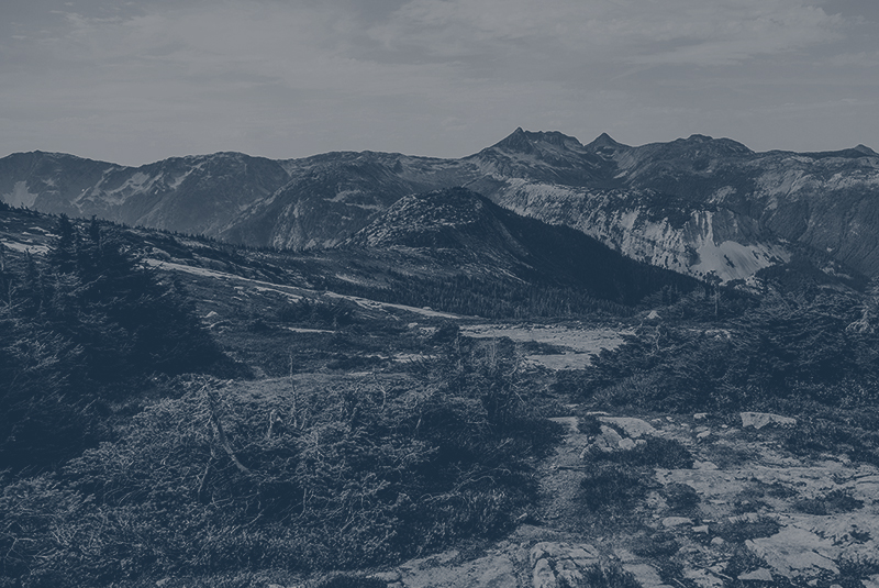 BC’s Mineral Claims Consultation Framework in Practice: Six Months Later